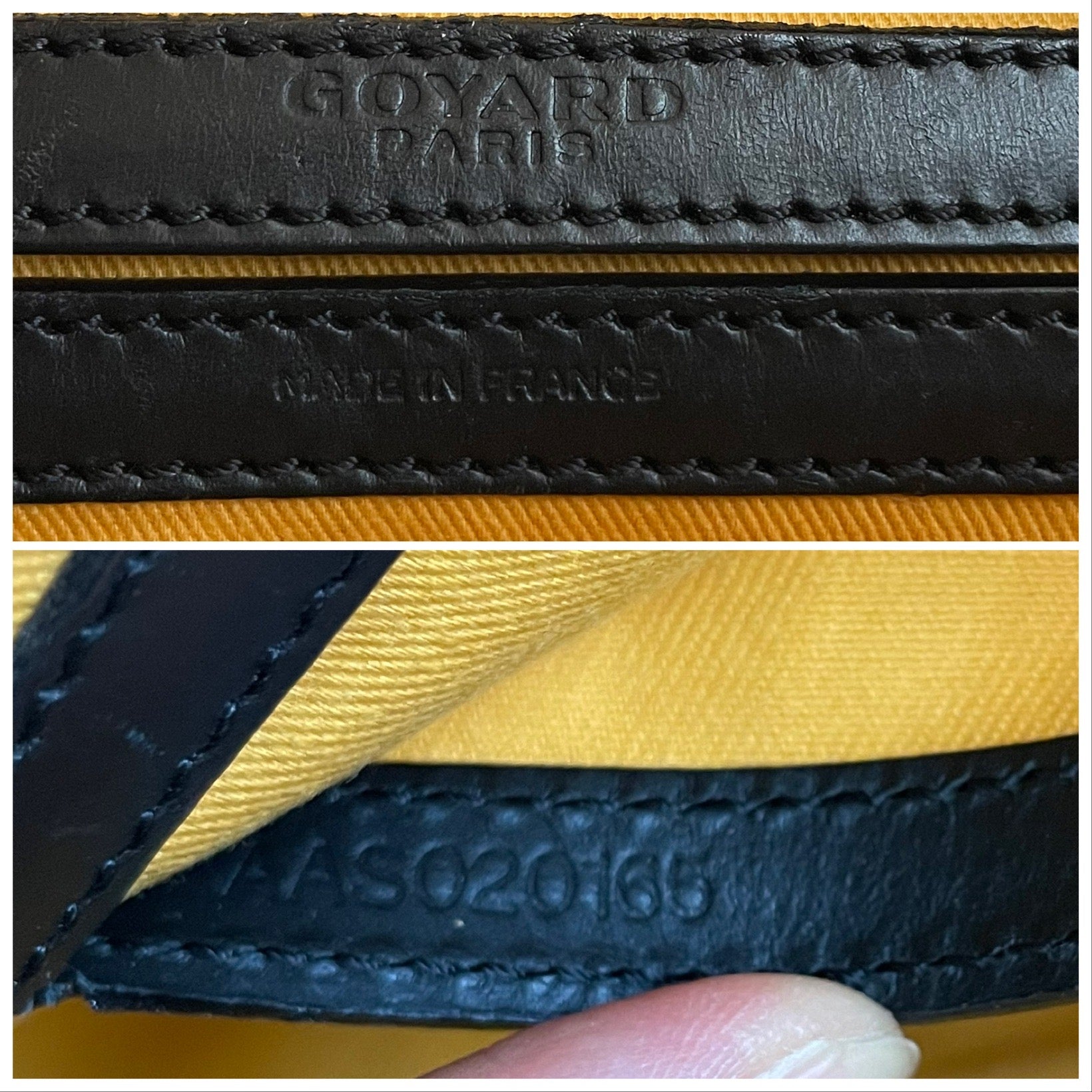 Cap vert leather crossbody bag Goyard Black in Leather - 35988551